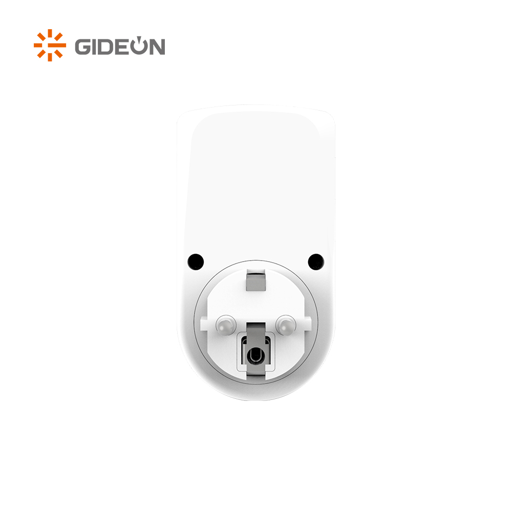 GD-V098-G Home Voltage Protector with German Standard for Tv Refrigerator Home Use