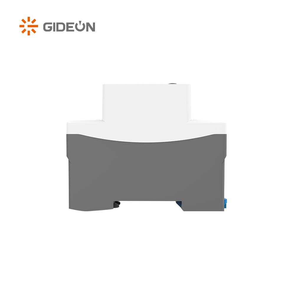 GD-V589-DVA 220V Din Rail Mounted Household Voltage Protector